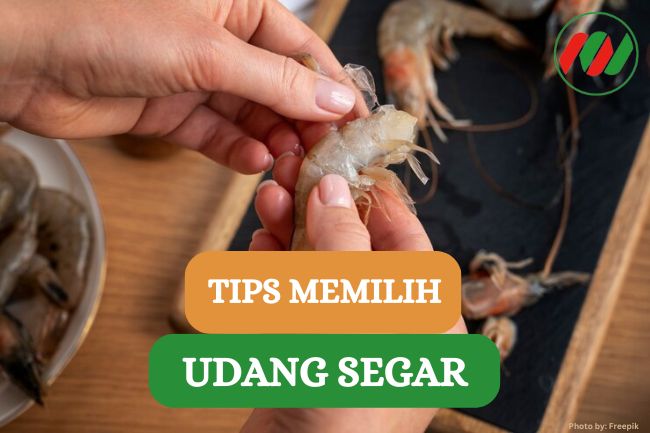 9 Tips Pilih Udang Segar Agar Enak Saat Dimasak